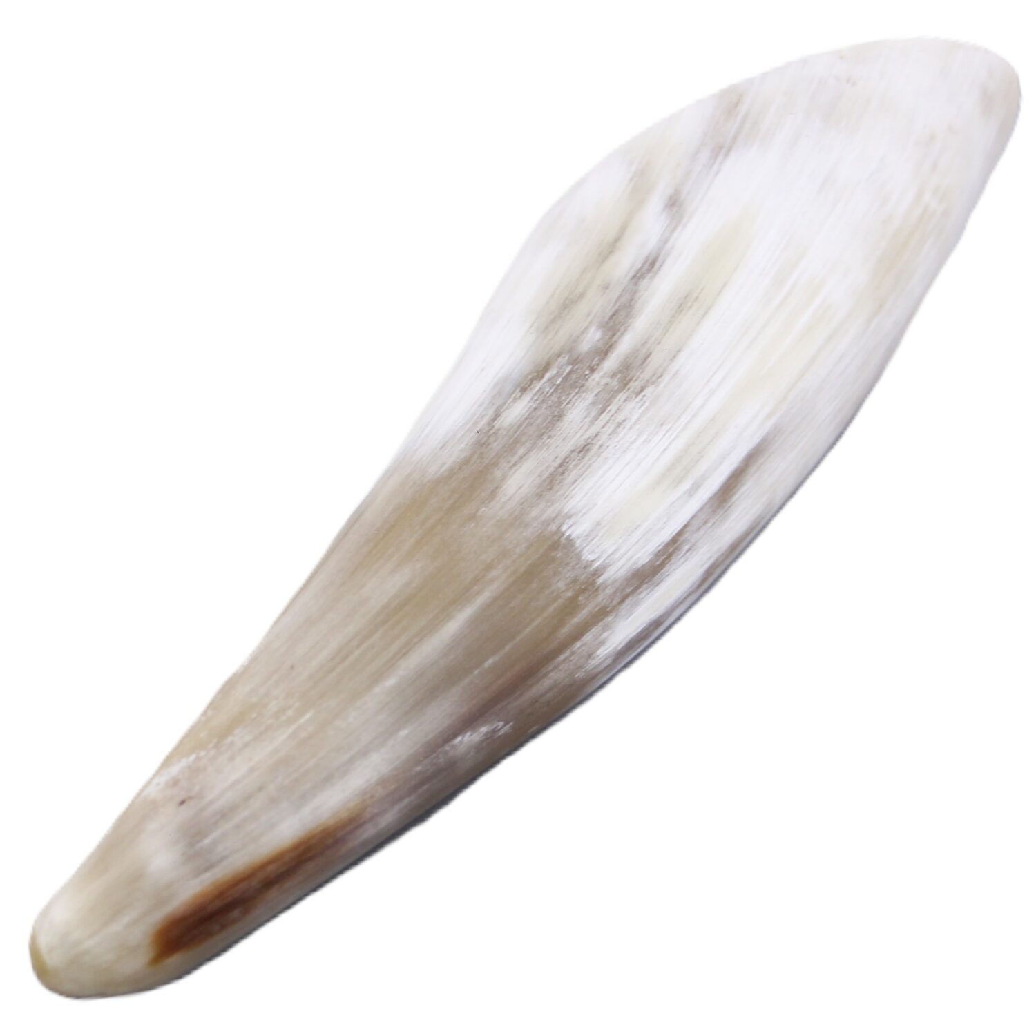 CUCHARA DE GUAMPA - Imagen 6