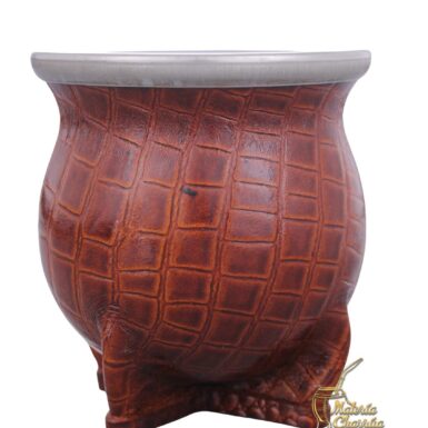 Camionerito Chico Labrado croco