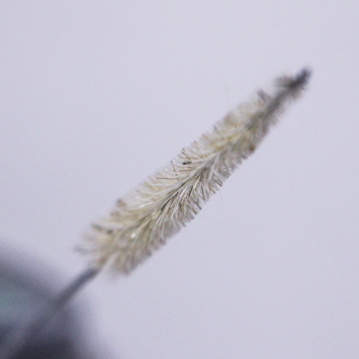 Cepillo Limpia Bombillas - Imagen 2