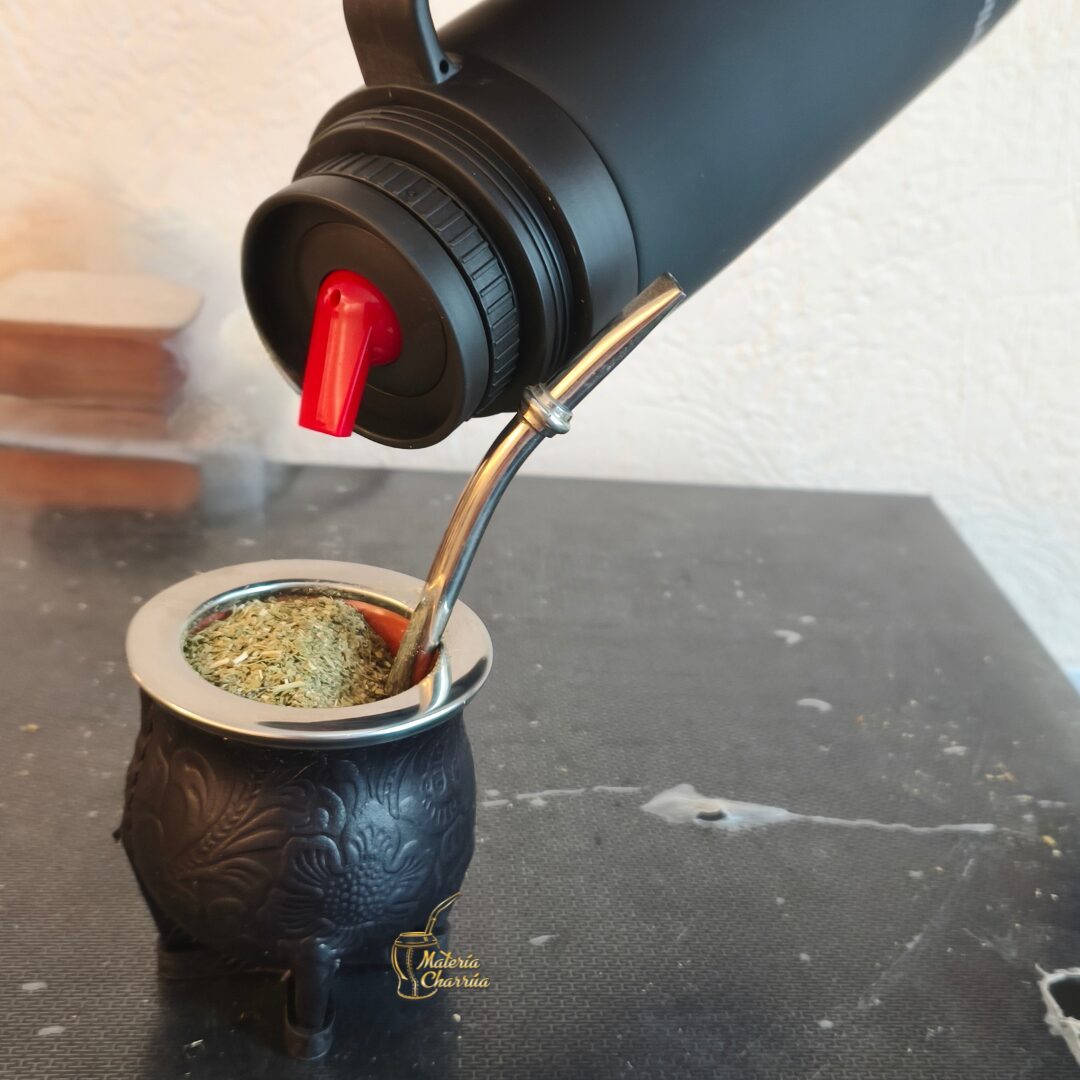 Camionerito Luxury Labrado - Imagen 16