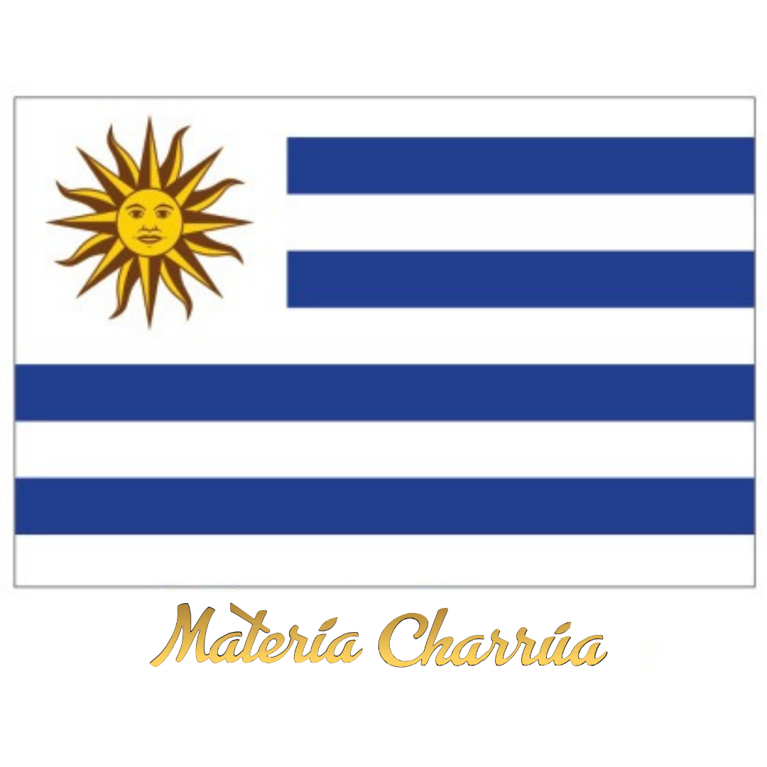 STICKERS - Originales y exclusivos - Imagen 11