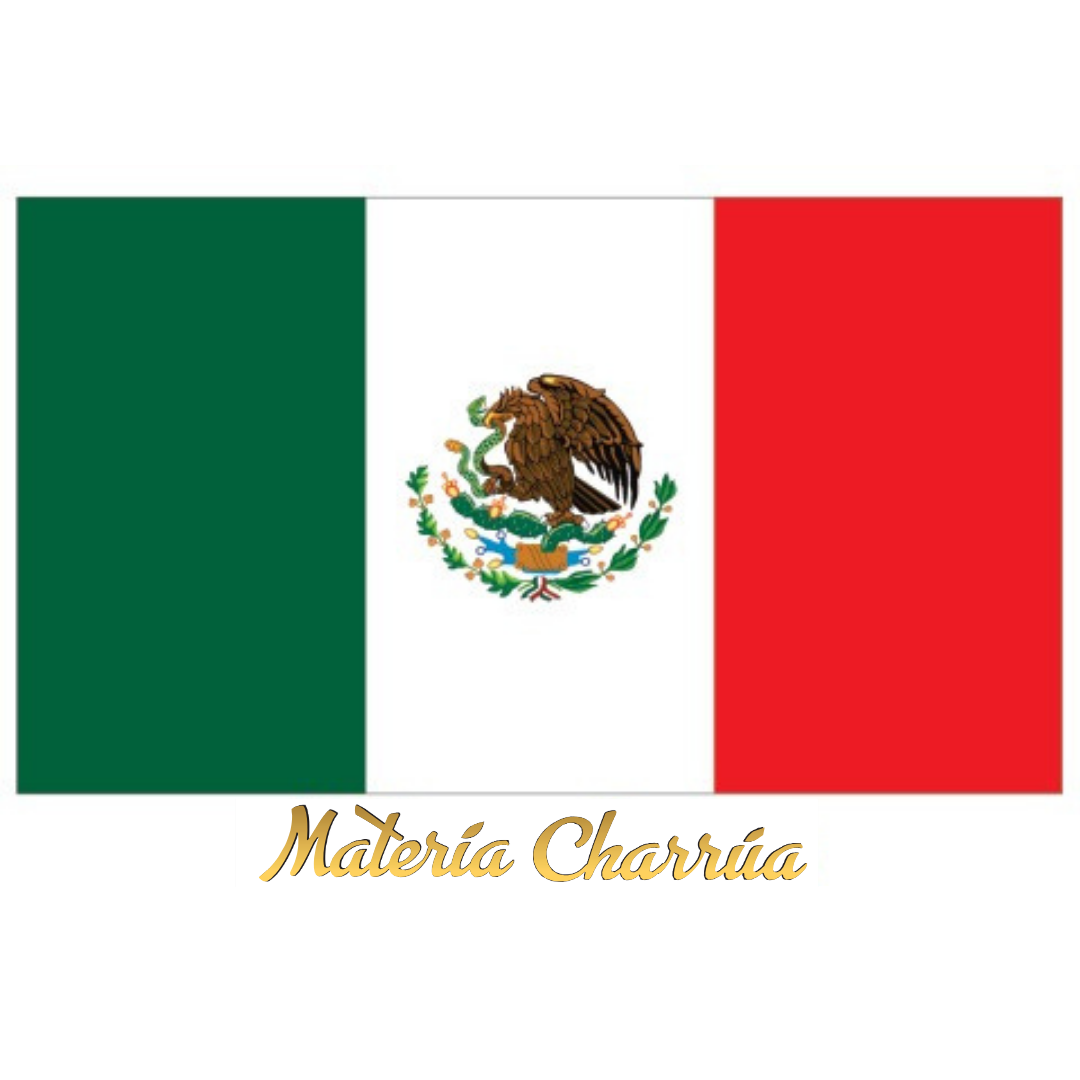 STICKERS - Originales y exclusivos - Imagen 10